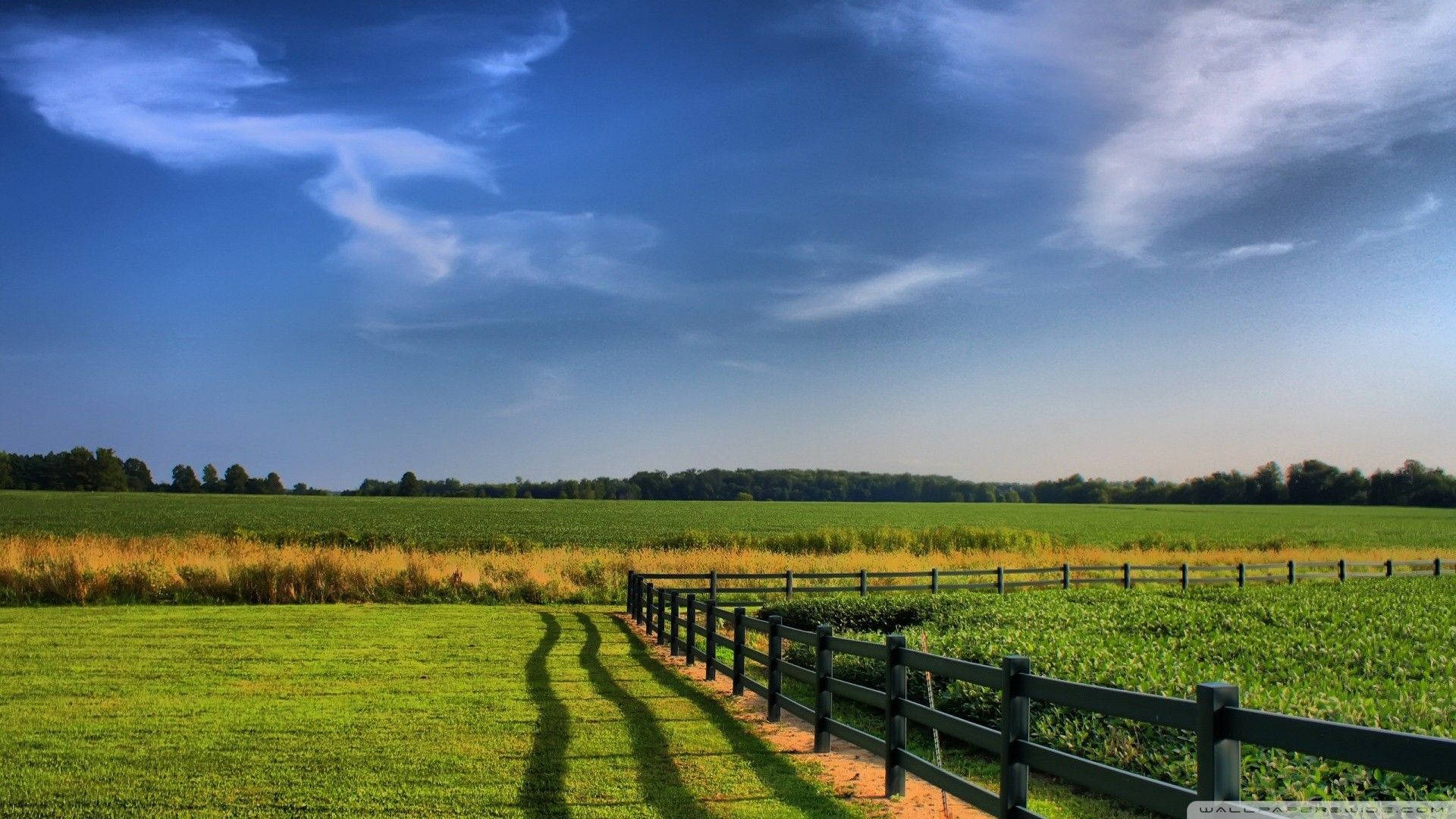 Farm Image